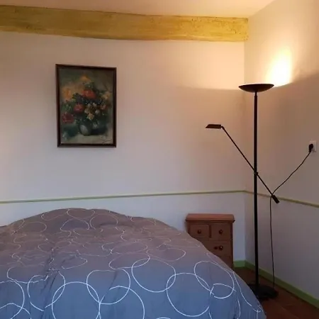 Σπίτι διακοπών House La Masqueria 2 Montgaillard (Landes)